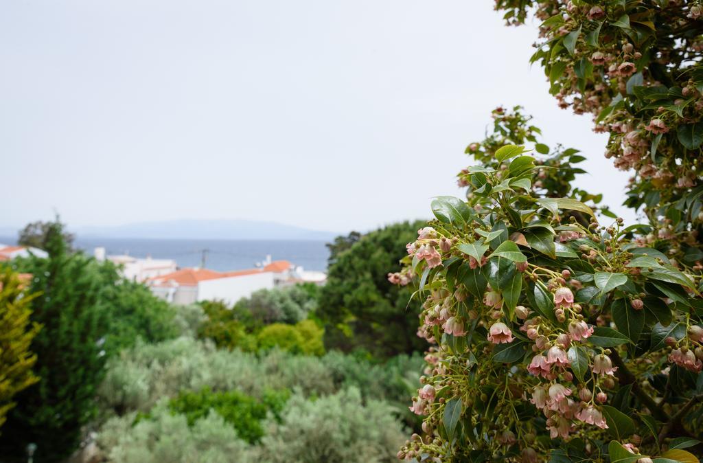 Kyveli Hotel Apartments Vrontádos Zewnętrze zdjęcie