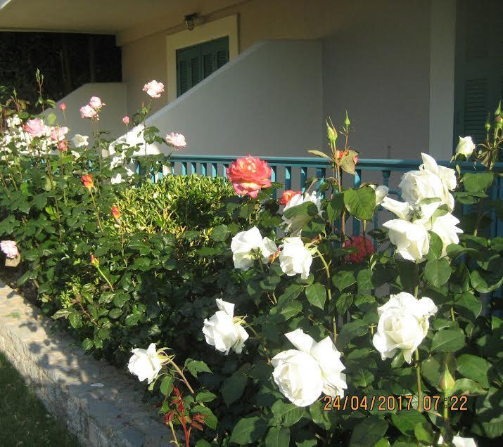 Kyveli Hotel Apartments Vrontádos Zewnętrze zdjęcie