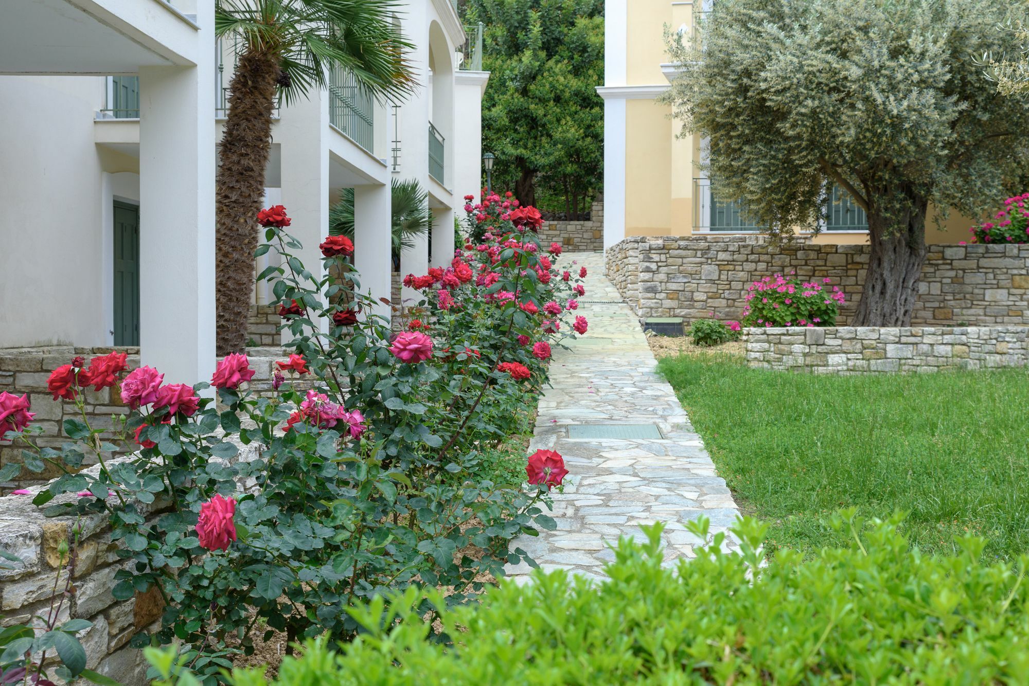 Kyveli Hotel Apartments Vrontádos Zewnętrze zdjęcie